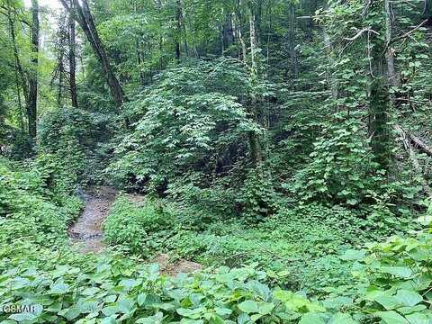 Lot 1 Black Walnut Flats Road, Sevierville, TN 37862