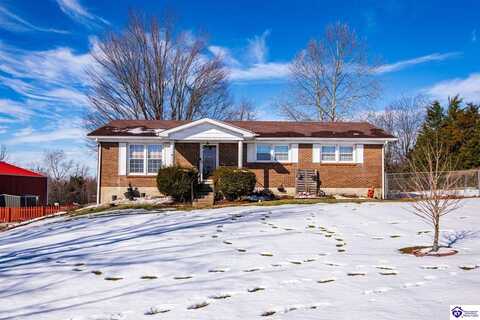 2995 Garrett Road, Ekron, KY 40117