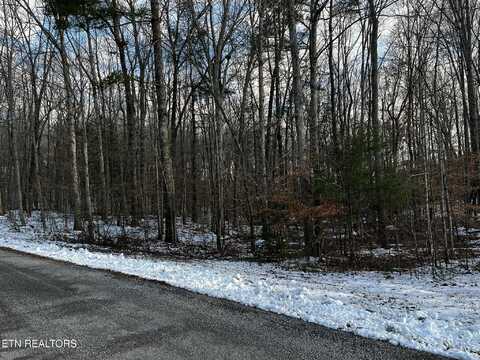 Lot 3 Evergreen Drive, Oneida, TN 37841