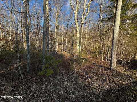 Lot 17/18 Evergreen Drive, Oneida, TN 37841