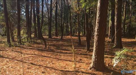 2.4 Acres Linde Street NW, Huntsville, AL 35810