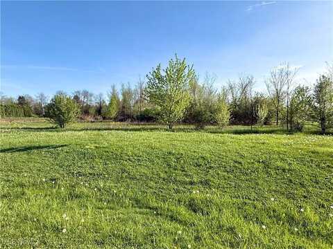 49451 Foxwood Lane, East Palestine, OH 44413