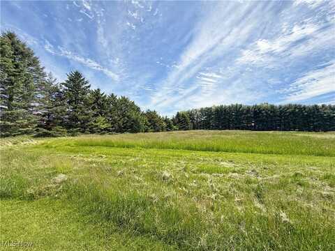 49631 Foxwood Lane, East Palestine, OH 44413