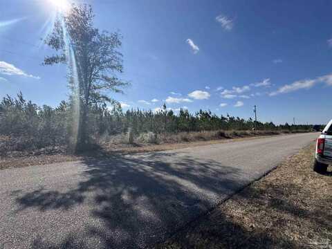 Lot 19 Mineral Springs Rd, Jay, FL 32565