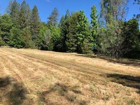 Lakeview Dr, Lakehead, CA 96051