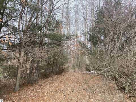 Lot 33 Scenic Hills Drive, Williamsburg, MI 49690