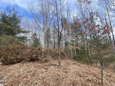 Lot 31 Scenic Hills Drive, Williamsburg, MI 49690