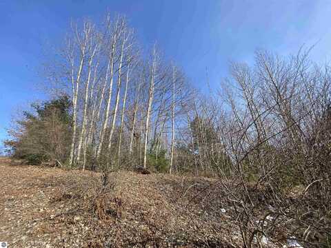 Lot 34 Scenic Hills Drive, Williamsburg, MI 49690