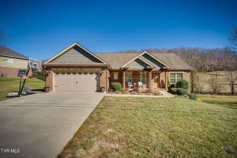 463 Free Hill Road, Gray, TN 37615