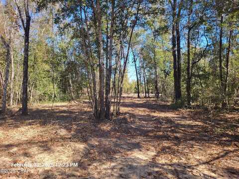 00 Womble Road, Altha, FL 32421