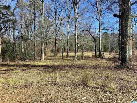 405 COVE ROAD, WILSONVILLE, AL 35186