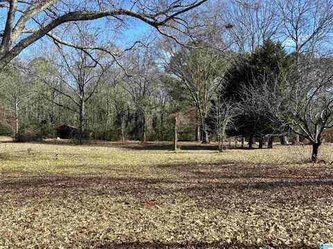 466 COVE ROAD, WILSONVILLE, AL 35186