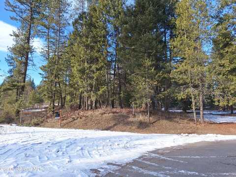 Nna Parkland Dr, Blanchard, ID 83804