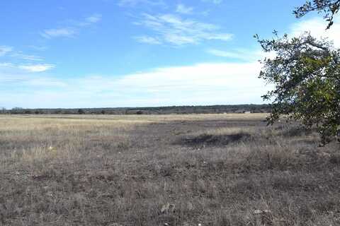 1150 Duderstadt Rd, Harper, TX 78631