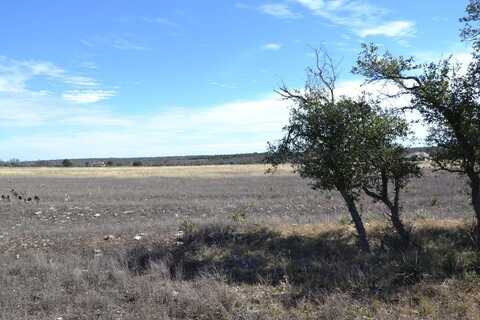 101 Roan Meadows Ln, Harper, TX 78631