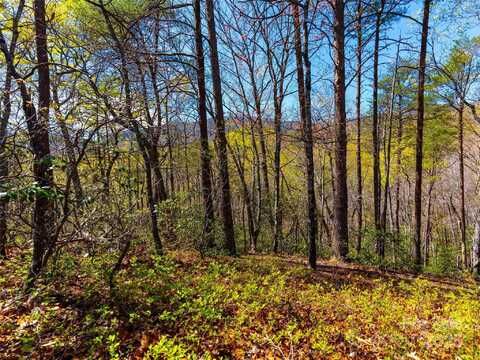 107 Deep Gap Road E, Mill Spring, NC 28756