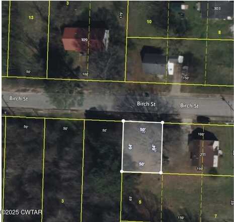 110 Birch Street, Jackson, TN 38301