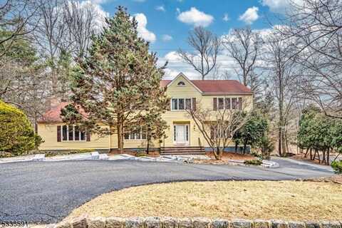 63 Longview Ave, Randolph, NJ 07869