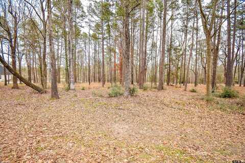 14881 Lake Meadow Ct, Tyler, TX 75707