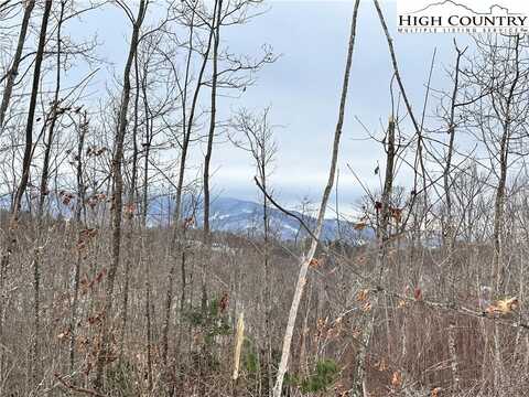 0000 Lot 78 Black Bear Crossing, Elk Park, NC 28622