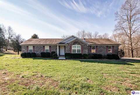 234 Cave Heights Lane, Falls Of Rough, KY 40119