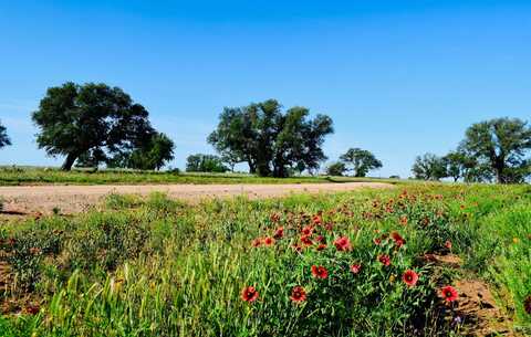 Tbd County Road 406, Llano, TX 78643