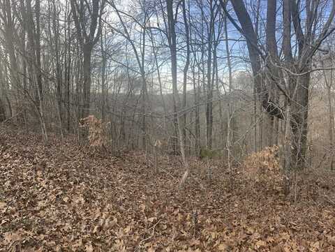 Lot 35 Laurelwood, Nancy, KY 42544