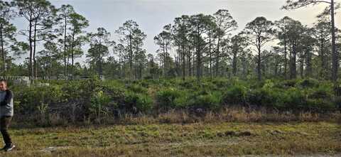 12298 Hindle Ave, Punta Gorda, FL 33955