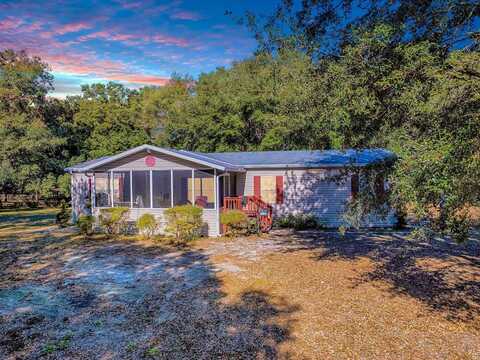 3284 SE 20TH LANE, SUMTERVILLE, FL 33585