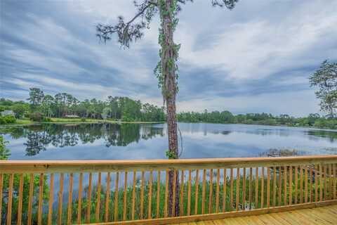 13055 NE 7TH LOOP, SILVER SPRINGS, FL 34488