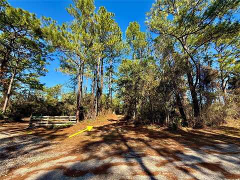 40001 MAGGIE JONES ROAD, PAISLEY, FL 32767