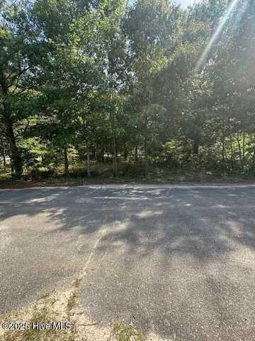 100 Orchestra Lane, Goldsboro, NC 25730