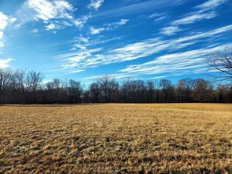 Lot 783 Lake Wildwood Drive, Varna, IL 61375