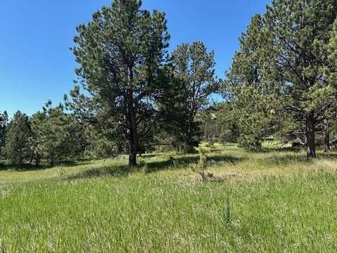 TBD Opal Court, Newcastle, WY 82701