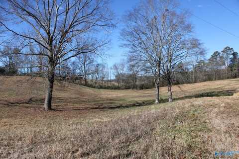 6.3 Acres Duck Springs Road, Attalla, AL 35954