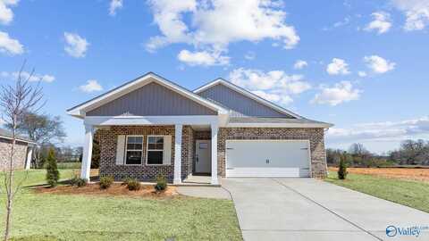 18724 Wicklow Circle, Athens, AL 35613