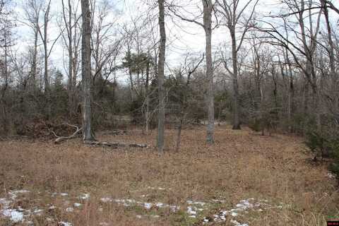 Lot 32 ELLY LANE, Flippin, AR 72634