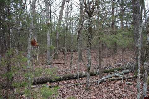 Lot 38 JEB ROAD, Flippin, AR 72634