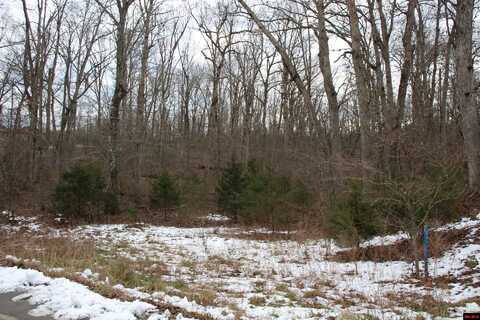 Lot 34 ELLY LANE, Flippin, AR 72634