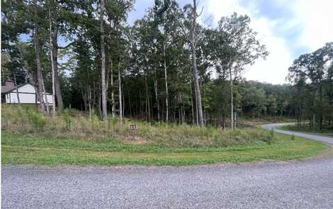 Lt 11 Lake Top Lane, Ellijay, GA 30540