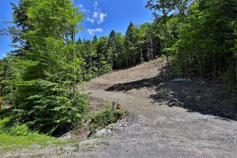 Lot 1-25 Madison Brook Lane, Stockbridge, VT 05772