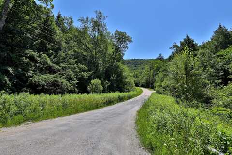 Lot 1-26 Madison Brook Lane, Stockbridge, VT 05772