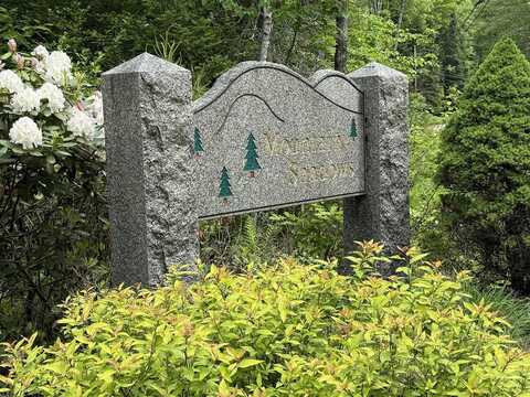 41 Winchester Lane, CTR Tuftnboro, NH 03816