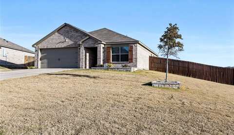 104 Yearling Court, Newark, TX 76071