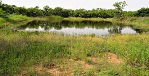 351 CR 126, Coleman, TX 76834