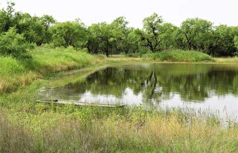351 County Road 126, Coleman, TX 76834