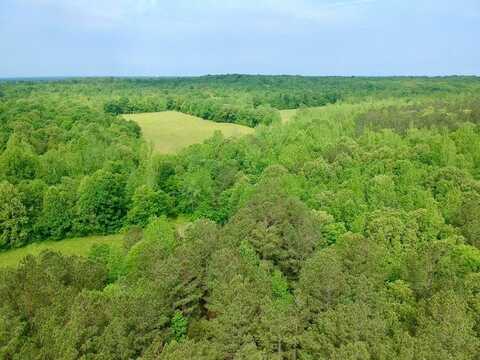 2433 Little Sulphur Creek Road, Big Sandy, TN 38221