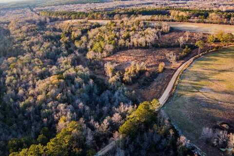 0 County Road 3339, Brundidge, AL 36010