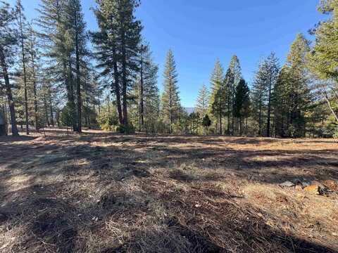 1210 Upper Pecks Valley Road, Greenville, CA 95947