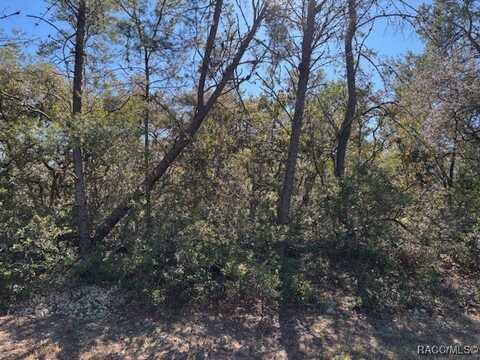 4282 W Drake Lane, Citrus Springs, FL 34433